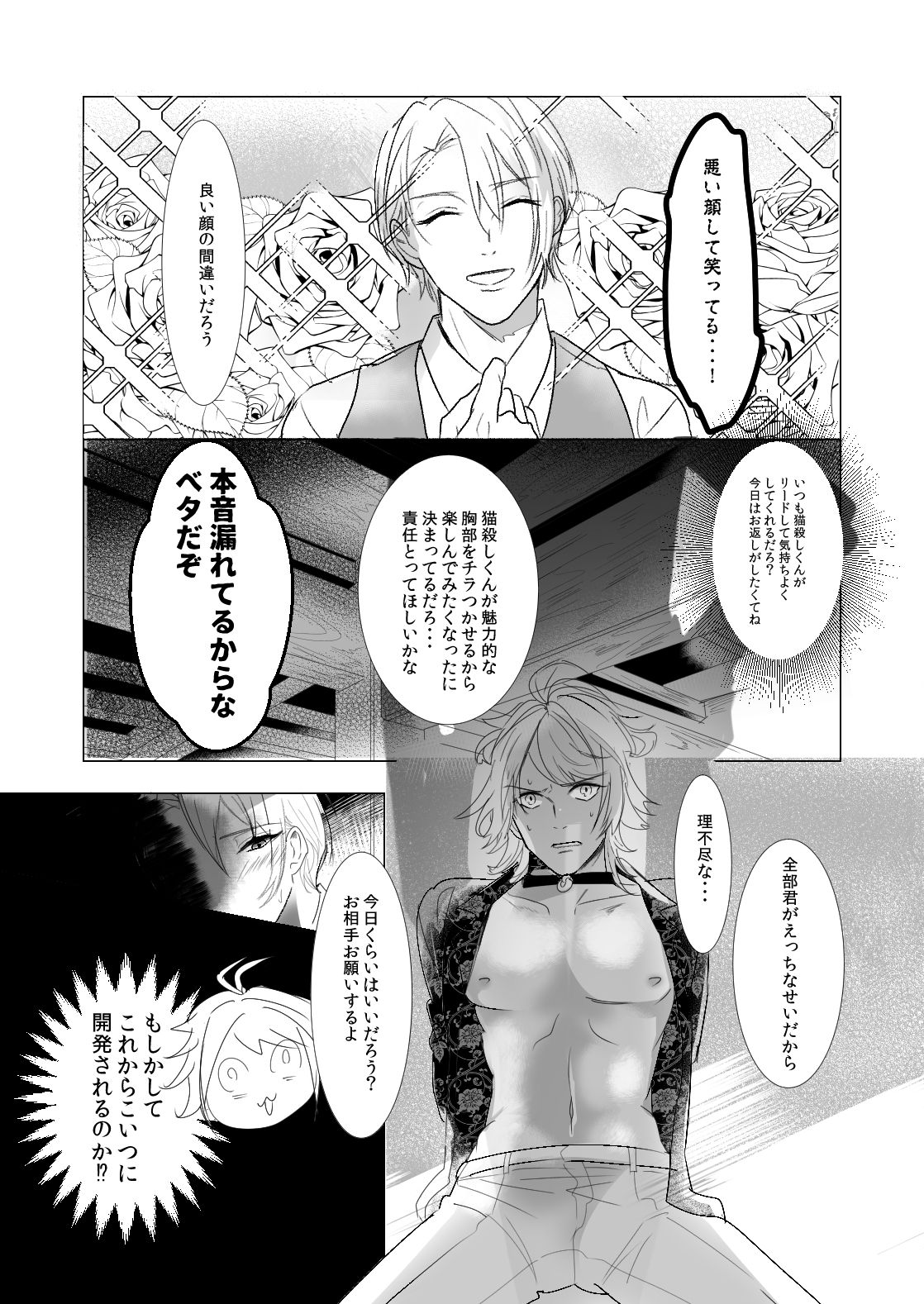 NPP page 5 full