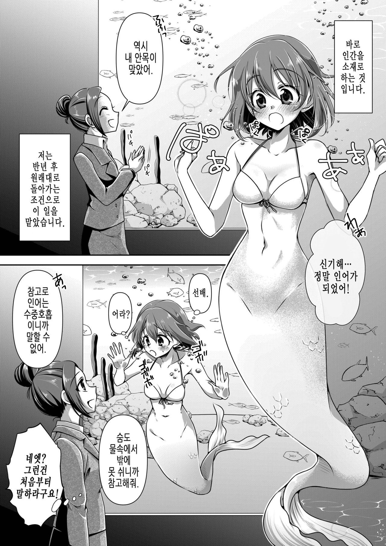 Aru Ningyo no Omoide | 어느 인어의 추억 page 2 full