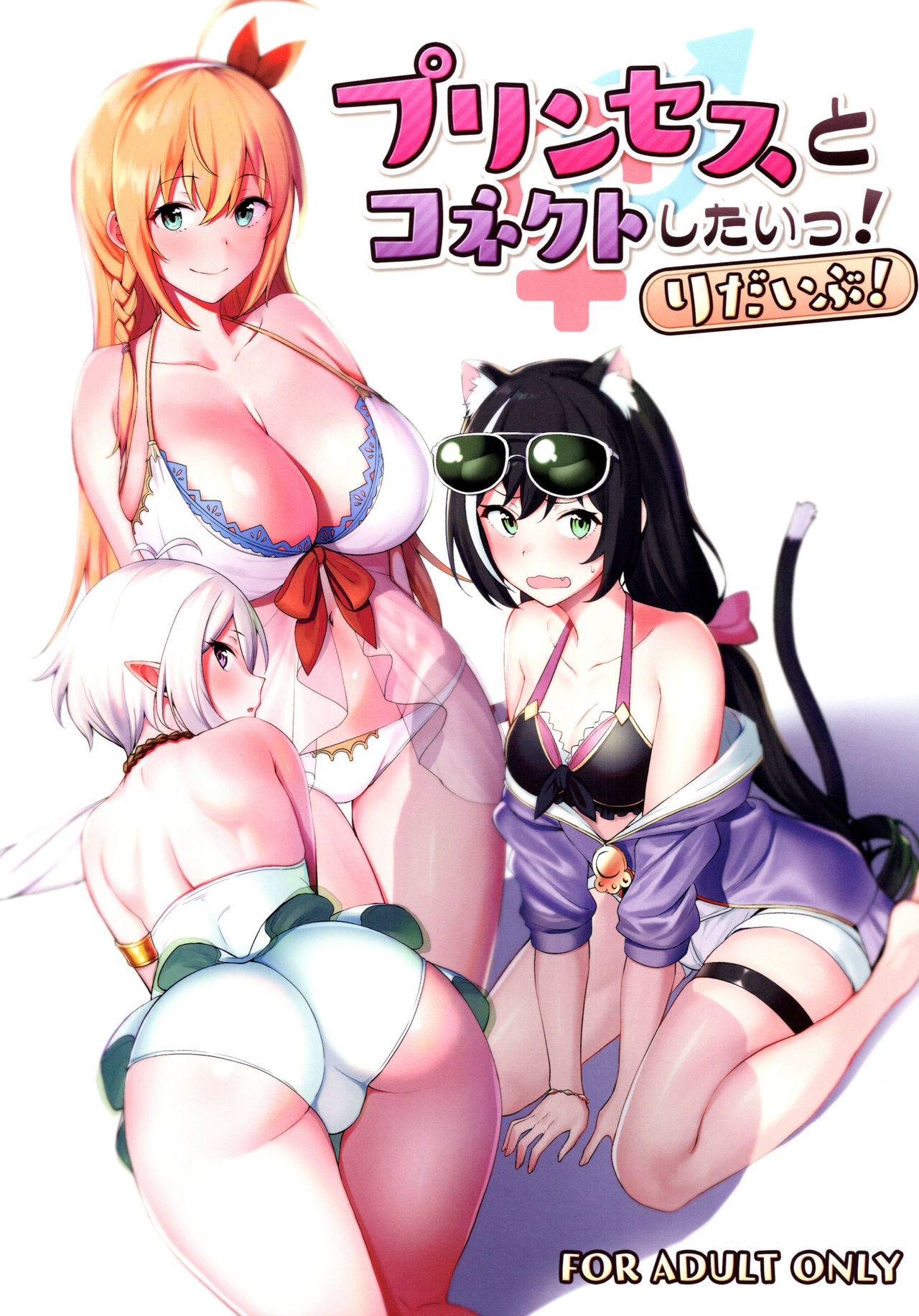 Princess to Connect Shitai! ReDive! page 1 full