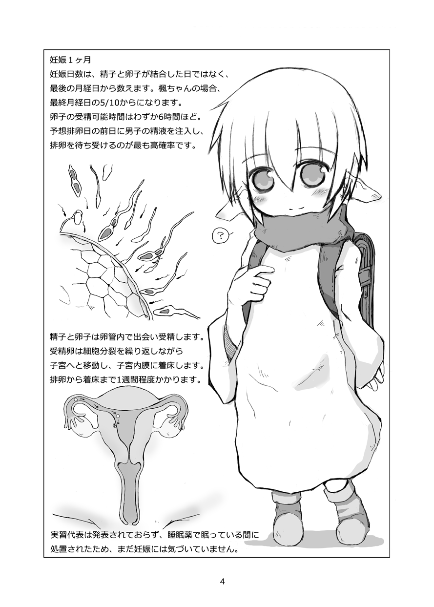 Ninshin Jisshuu page 4 full