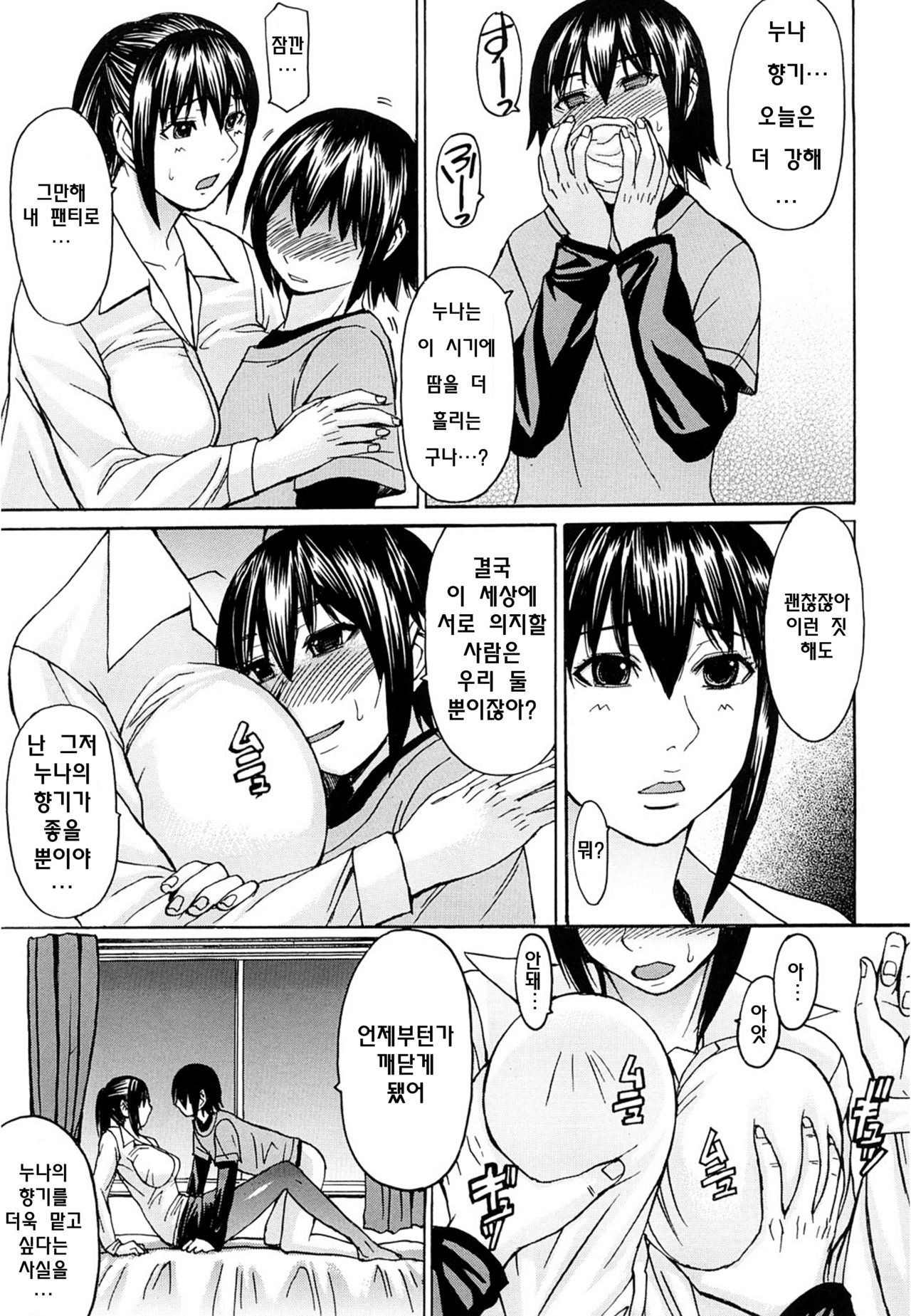 Ane Kaoru | 누나의 향기 page 9 full