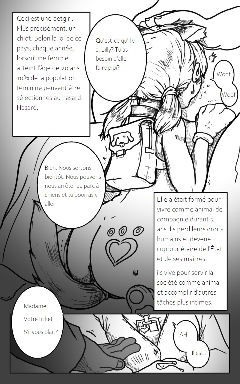 Déclaration de petification page 4 full