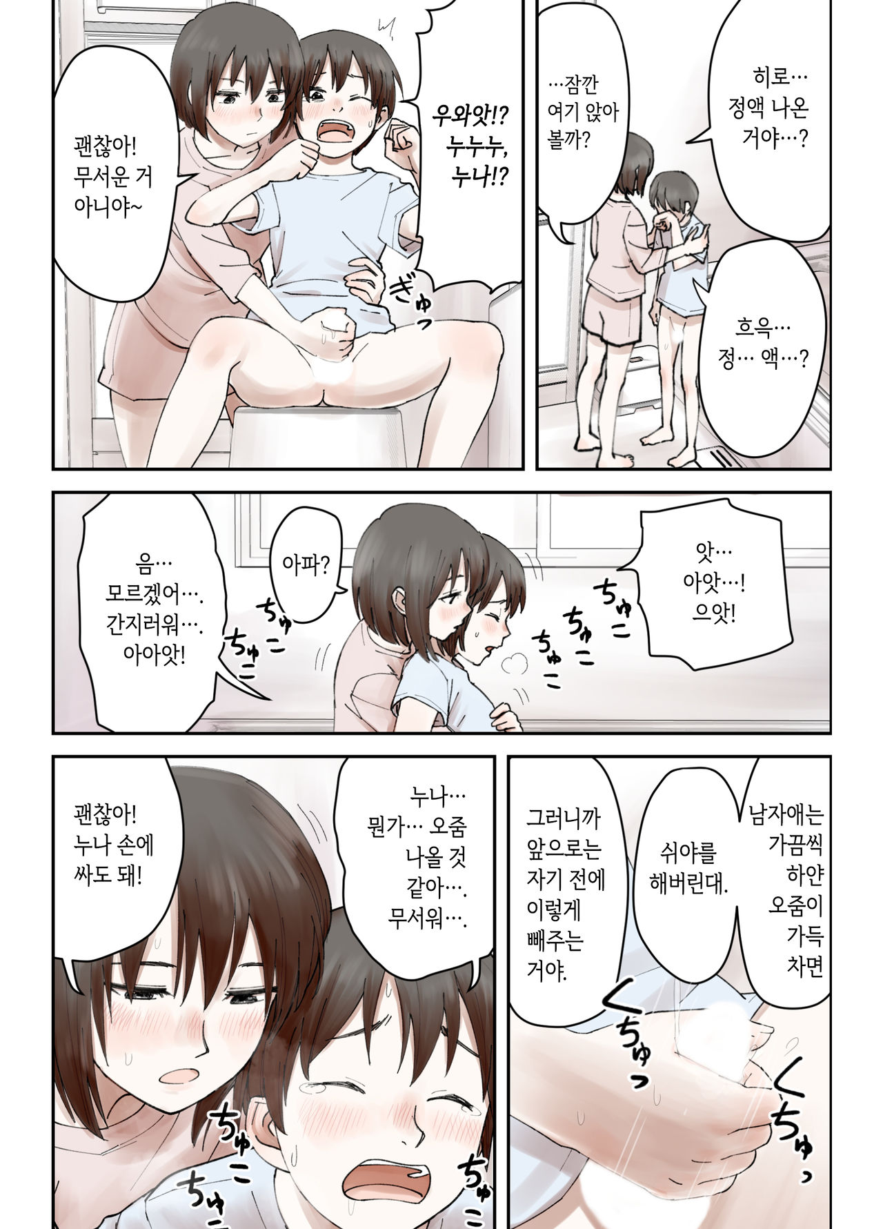 Boku no Daisuki na Ane ga Nande Anna Yatsu ni...... | 내가 제일 좋아하는 누나가 어째서 그런 놈한테…… page 7 full