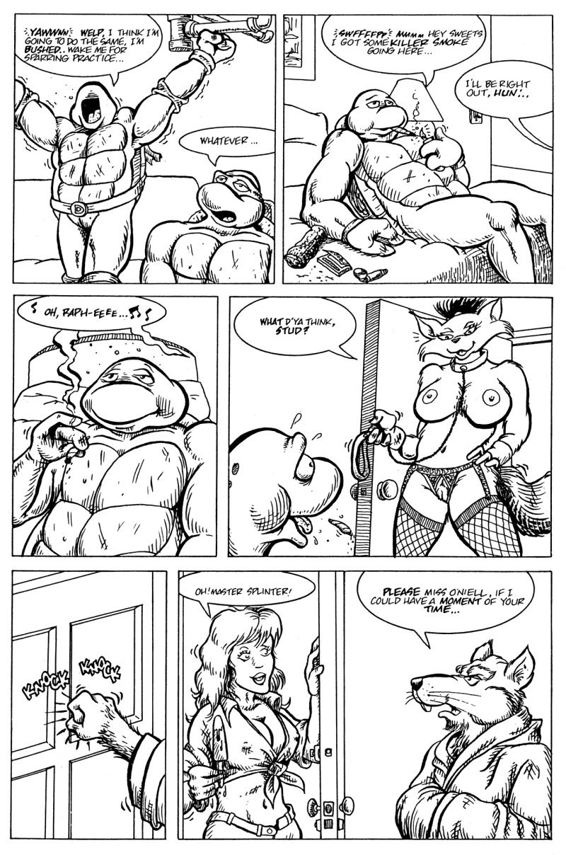 Teenage Mutant Ninja Turtles hentai comic page 3 full