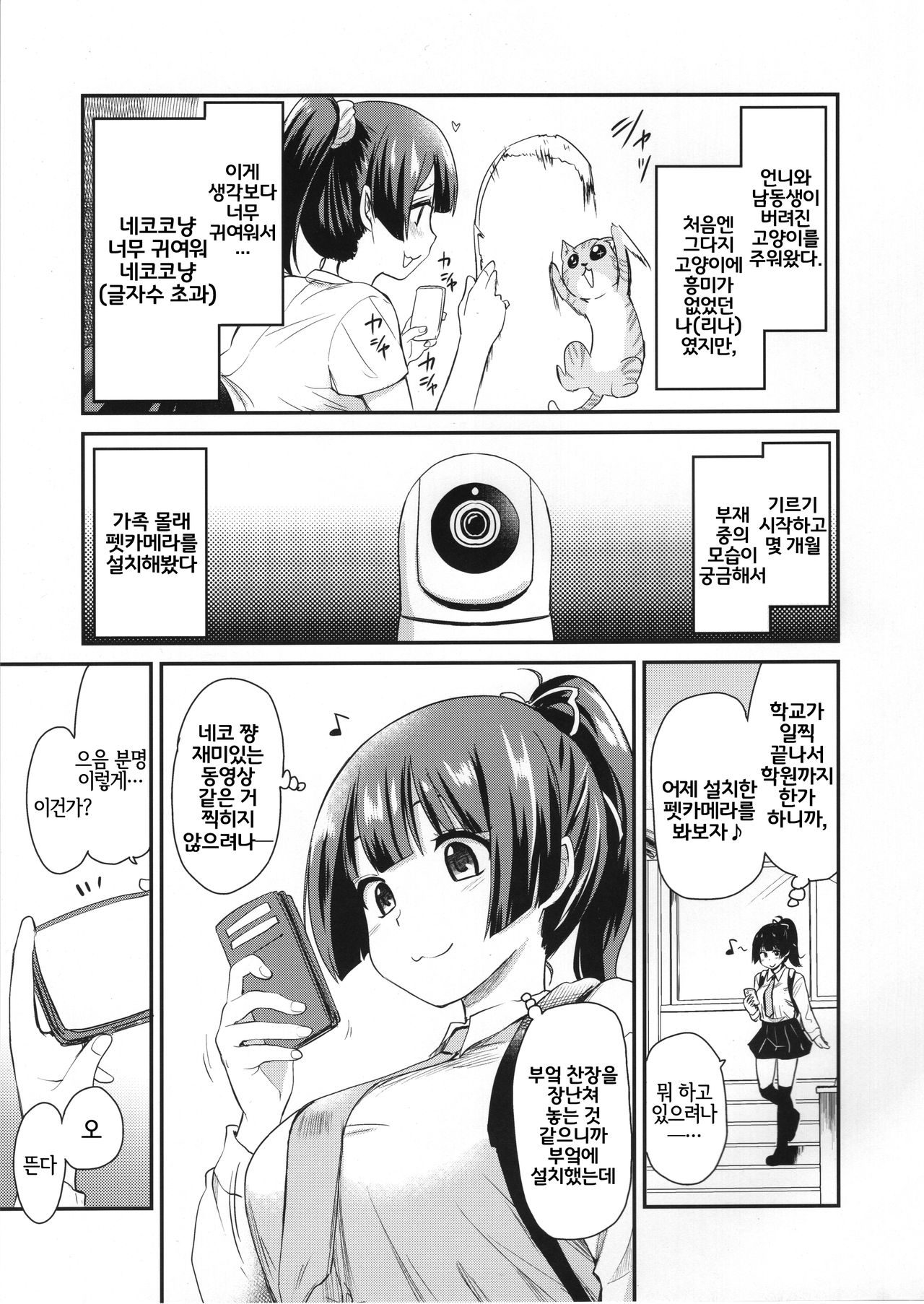 Pet Mimamori Camera ni Ane to Otouto no Sex ga Utsutteta. | 펫 관찰 카메라에 언니와 남동생의 섹스가 찍히고 있었다。 page 4 full