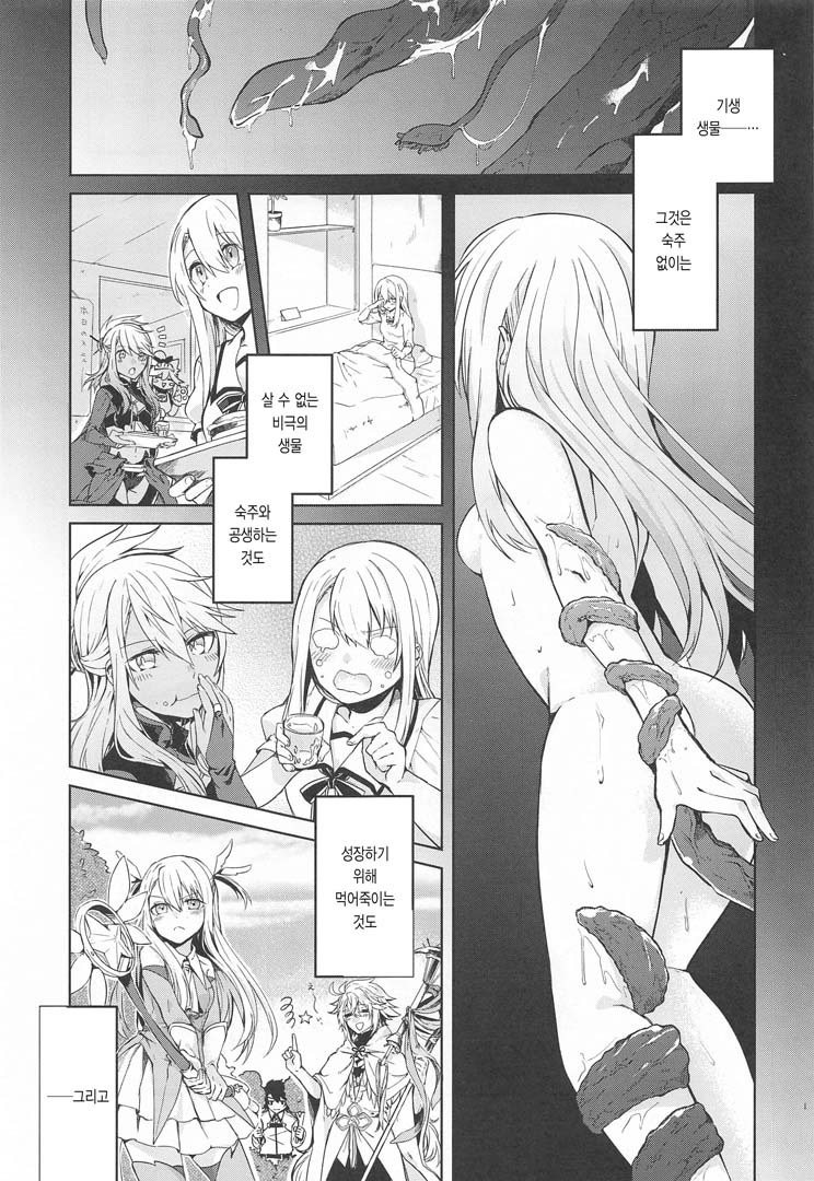 Illya-san! Master-san to Sex Shichatte Kudasai! | 이리야 씨! 마스터씨랑 섹스해 주세요! page 3 full