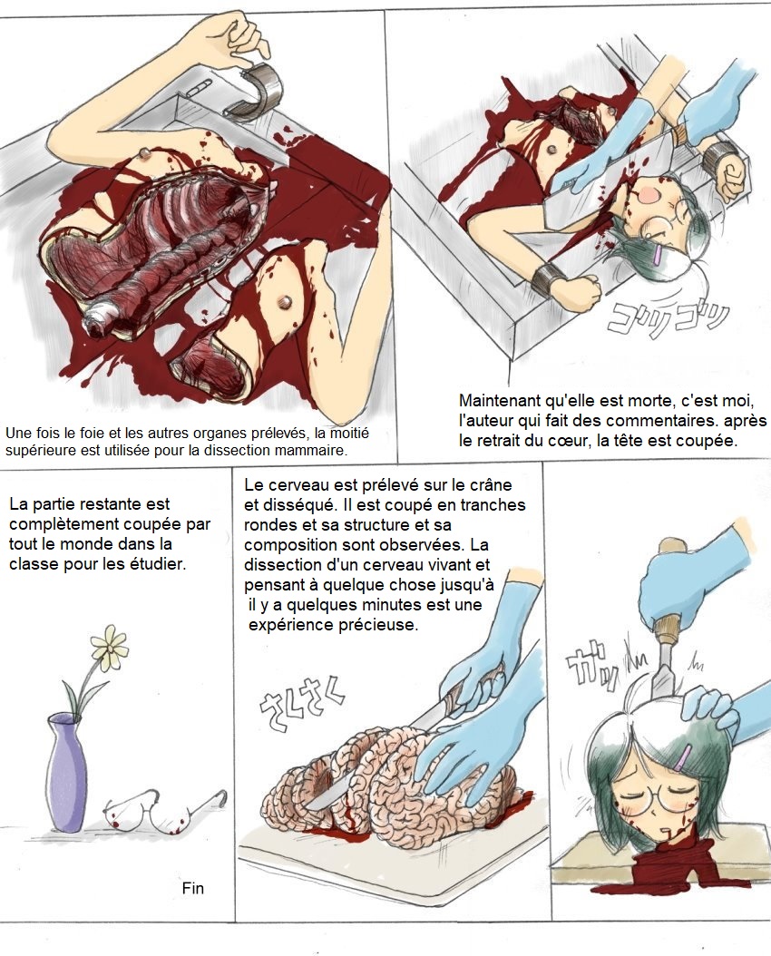VivisectionFr page 6 full