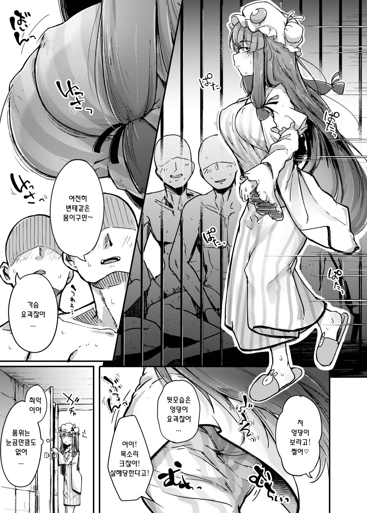 Ana to Muttsuri Dosukebe Daitoshokan | 구멍과 무뚝뚝한 개변태 page 5 full