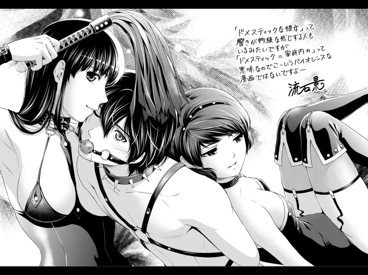 Domestic Girlfriend V27 Special Edition Booklet page 2 full