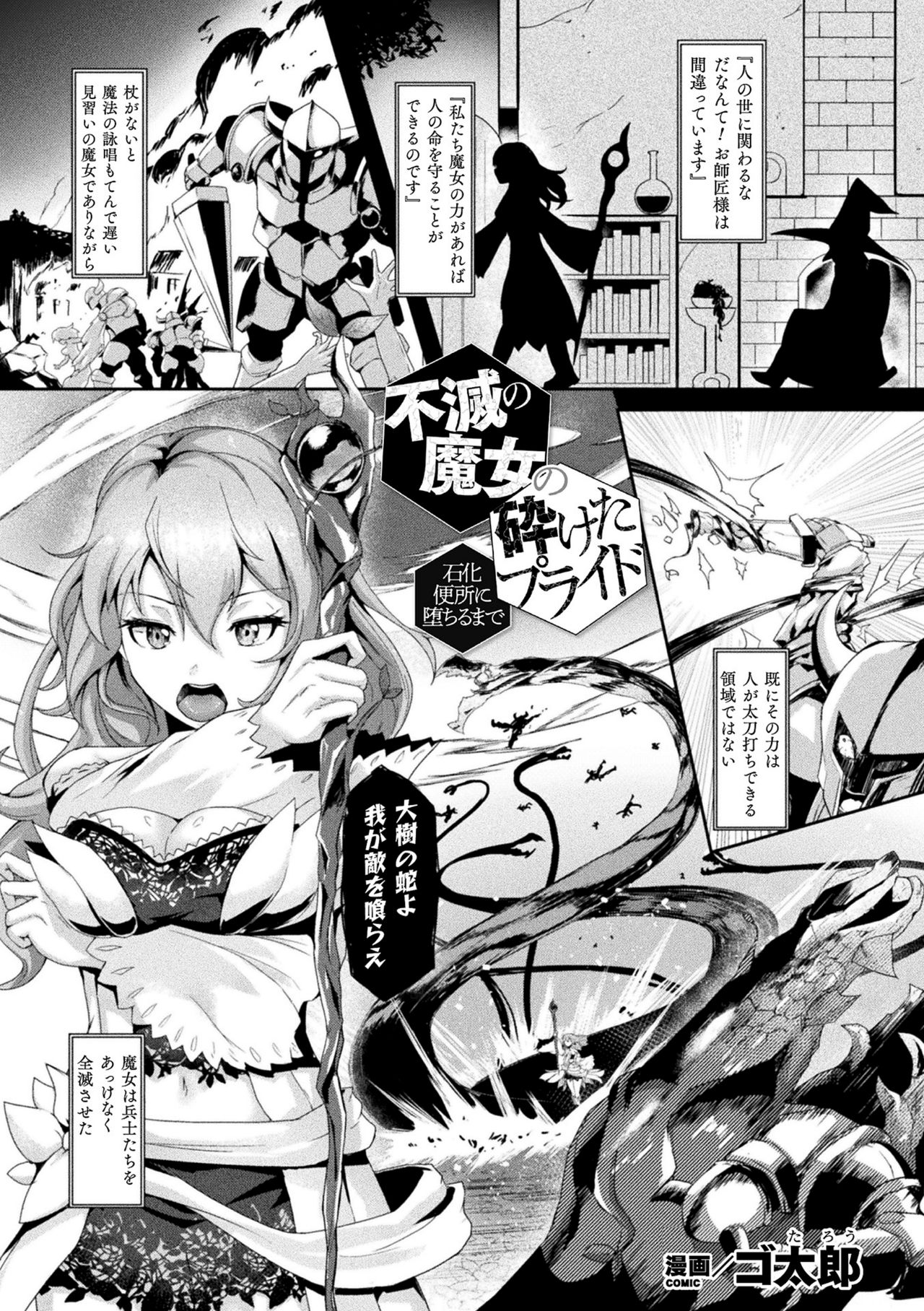 Fumetsu no Majo no Kudaketa Pride -Sekka Benjo ni Ochiru made- page 1 full