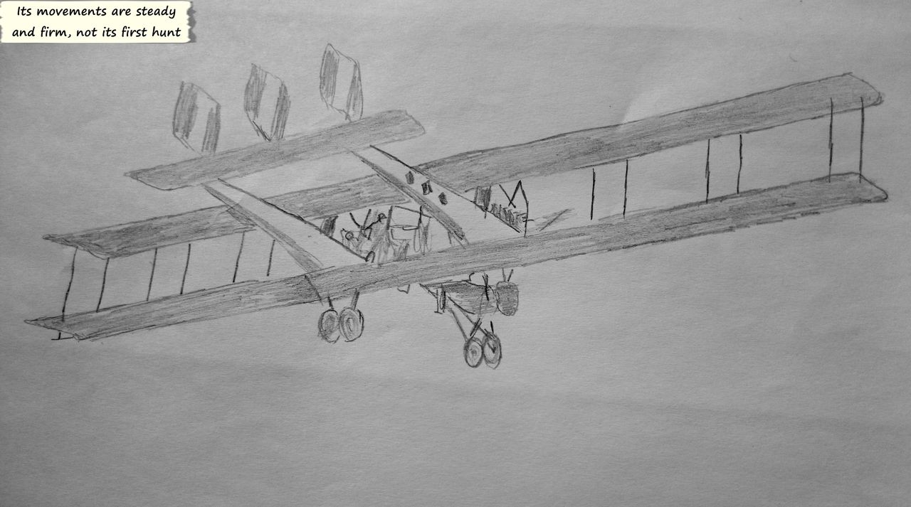 The Schwan Proyect Chapter 1: The Hawk page 4 full