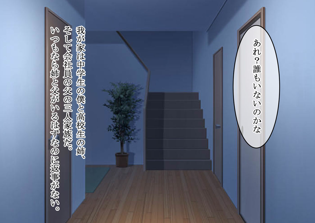 Daisuki na Ane wa Chichi no Onaho ni Natte ita page 3 full