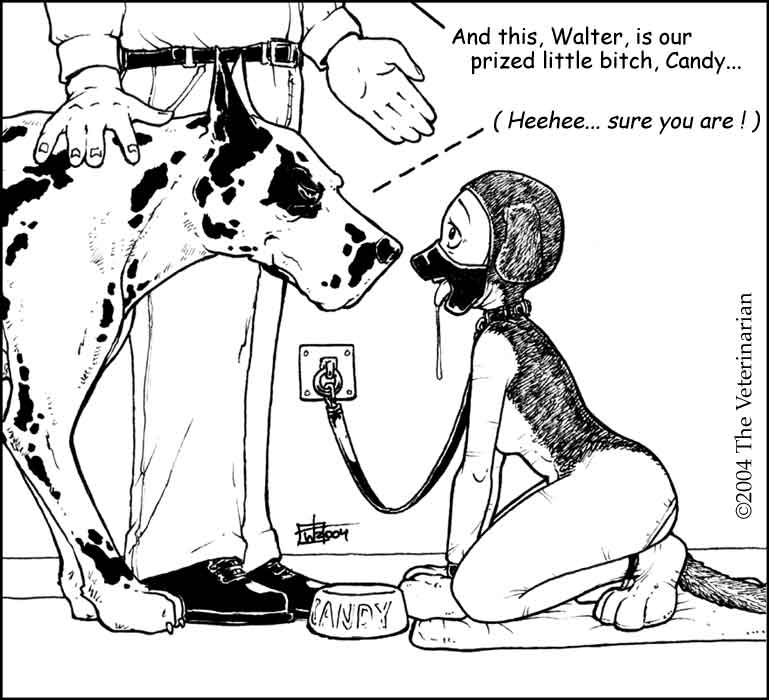 Artist Gallery - The Veterinarian page 10 full