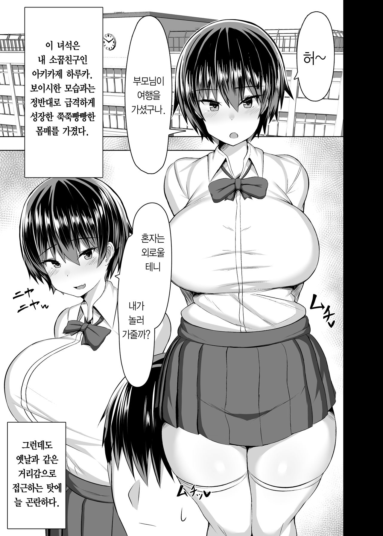 Osananajimi no Oppai ga Dekasugiru | 소꿉친구의 가슴이 커도 너무 크다 page 3 full