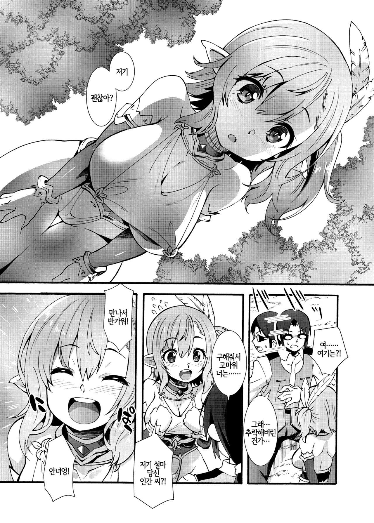 Sukebe Elf Tanbouki | 음란엘프 탐방기 page 5 full