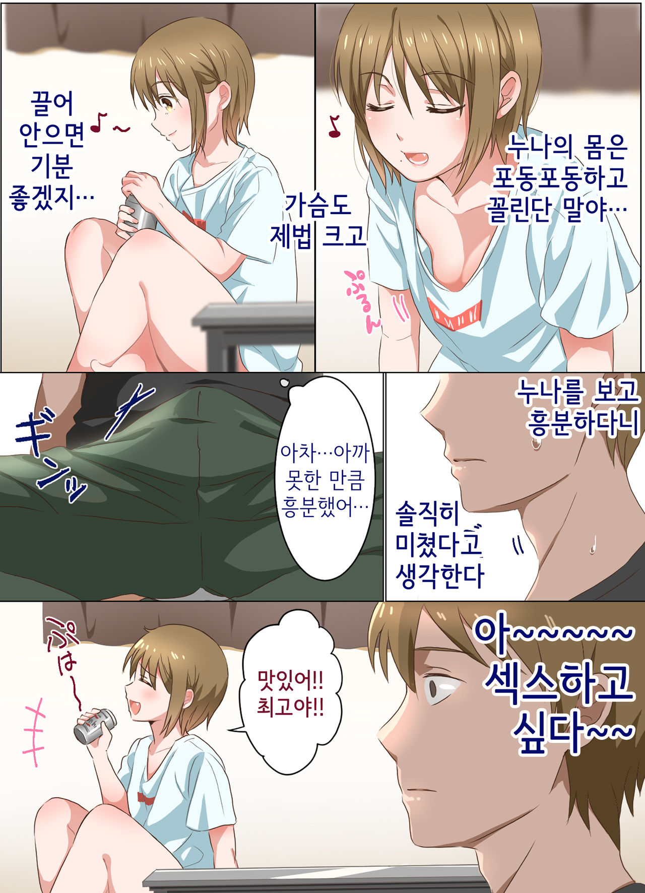 Ne-chan to suru hanashi | 누나랑 하는 이야기 page 9 full