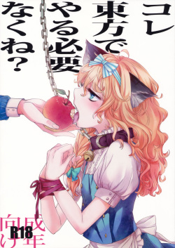 Kore Touhou de Yaru Hitsuyou Naku ne?