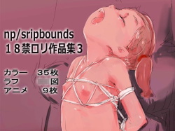 np/slipbounds 18-kin Loli Sakuhin-shuu 3