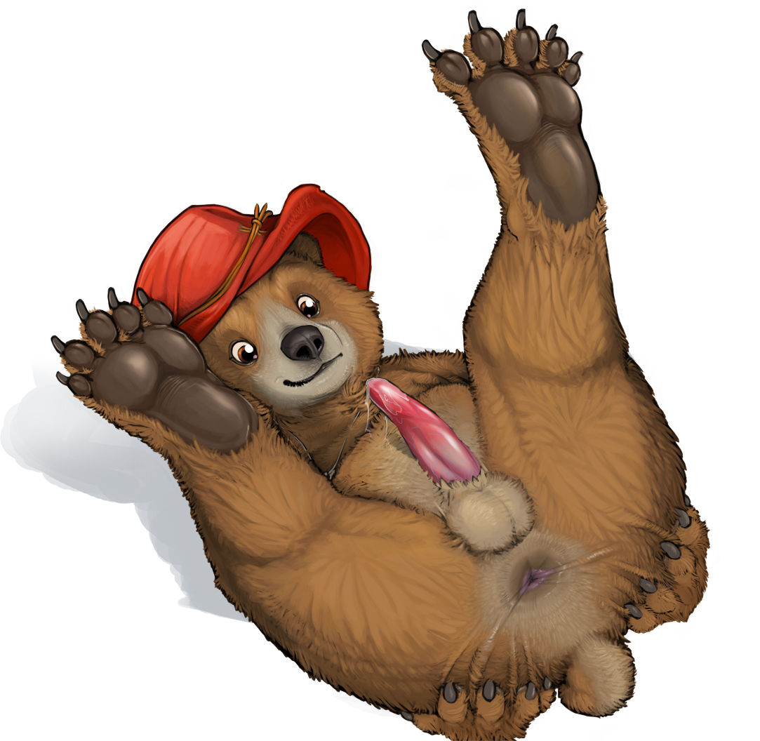 Paddington Bear page 3 full